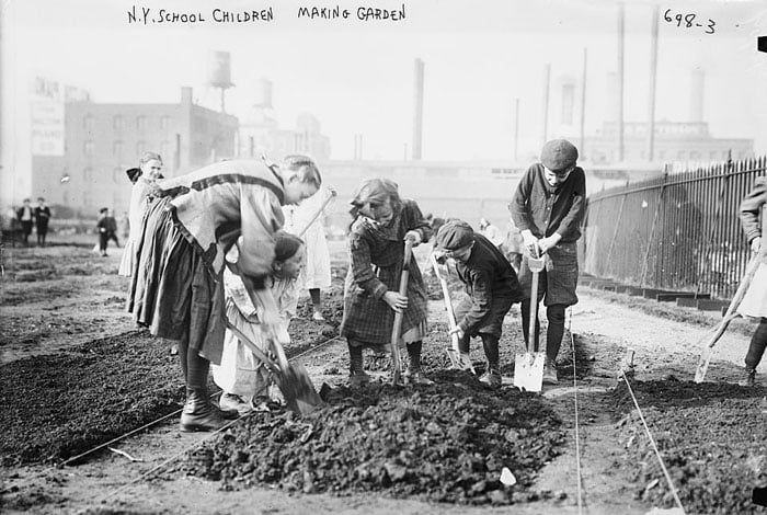 School Gardens (1900-1944) primary source set